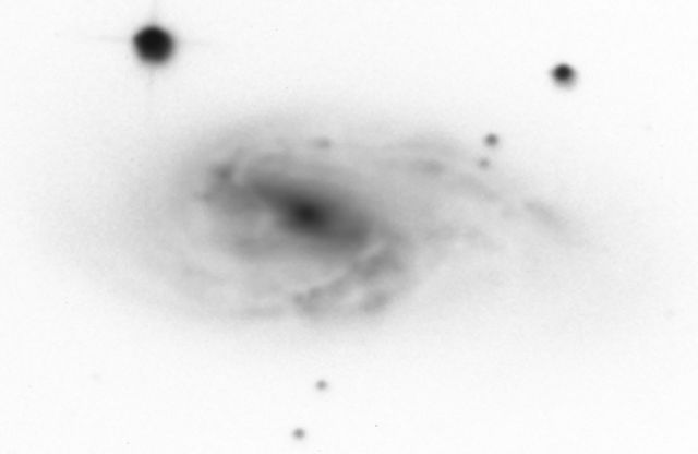 NGC 3627.jpg
